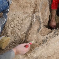 [Artifacts] A 4,000-Year-Old Mesopotamian Boat Has Been Discovered Near Uruk